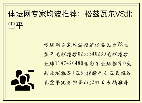 体坛网专家均波推荐：松兹瓦尔VS北雪平